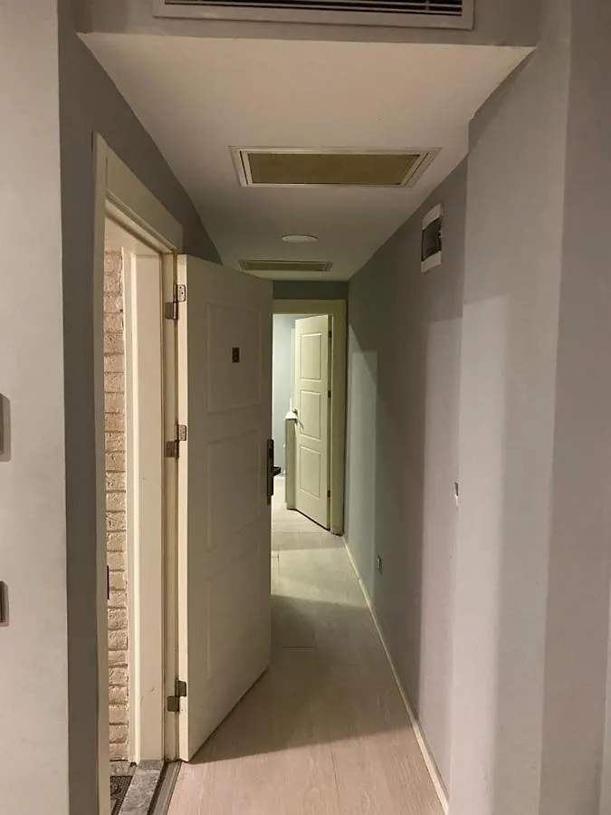 Adams Suit İstanbul Türkiye
